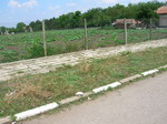 plot for sell 