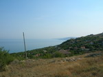 plot for sell 